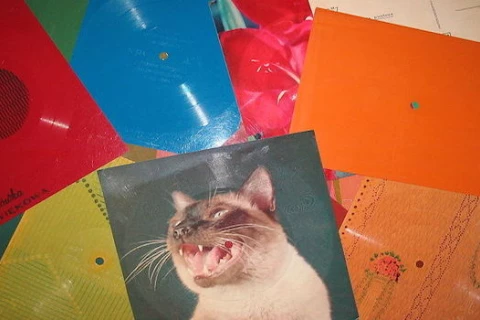 Pocztówki dźwiękowe