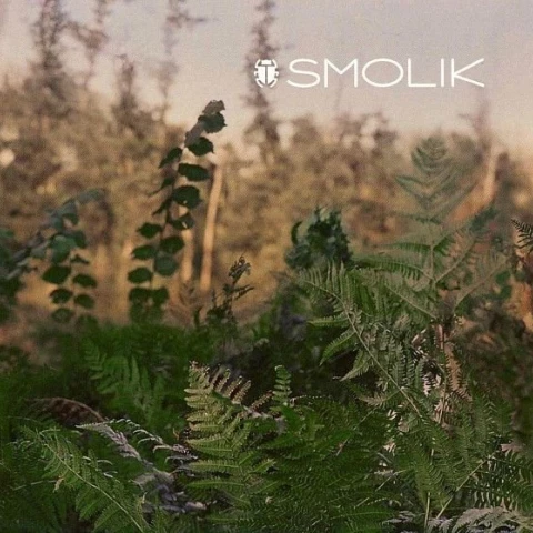 Smolik - „Smolik 2” - okładka