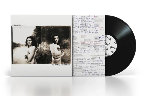 Winylowa reedycja „Is This Desire?” PJ Harvey